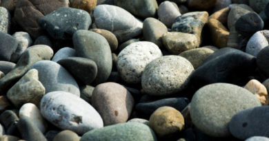 Kamień naturalny: Idealny materiał do Twojego ogrodu